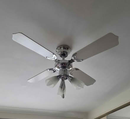 Photo of free Ceiling light and fan (Little Heath RG31) #2