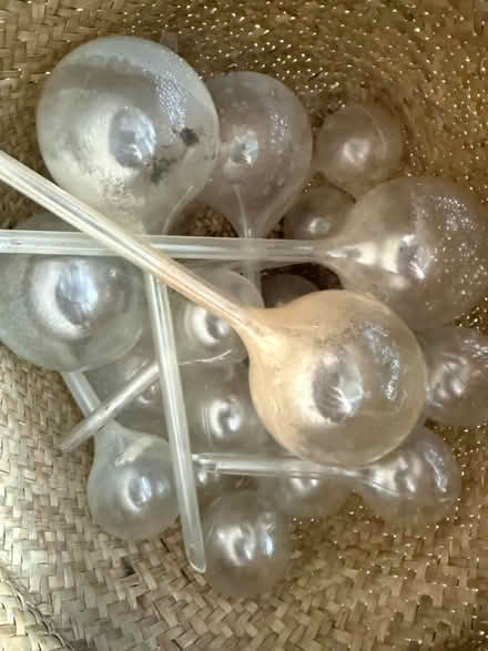 Photo of free Plastic Plant Pots & Waterers (BN3) #2