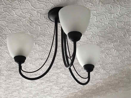 Photo of free Ceiling light (Seaton EX12) #1