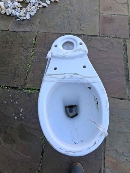 Photo of free New toilet (Collier Row RM5) #2