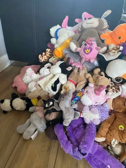 Photo of free Childrens Teddy Bundle 100+ (Horndon SS17) #2