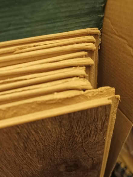 Photo of free Laminate flooring (Islington, N19) #4