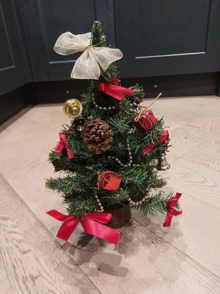 Photo of free Miniature Christmas trees (Wrose BD2) #1