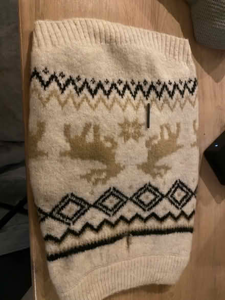 Photo of free Dog Jumper (Bracknell RG12) #1