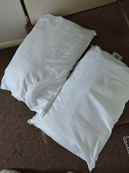 Photo of free Soft Pillows (CT11) #1