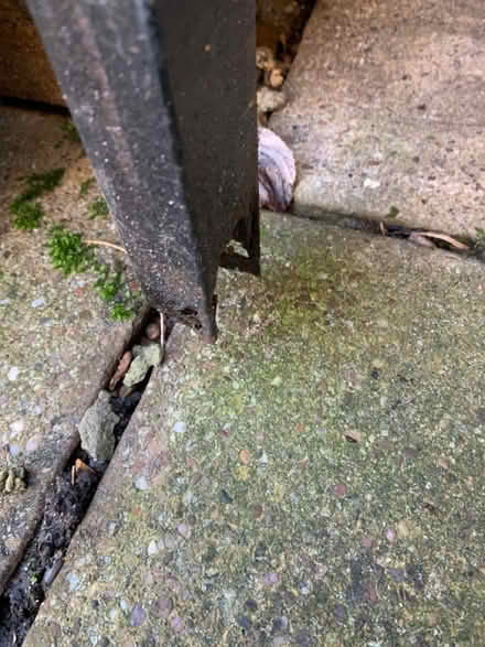 Photo of free Garden table (Hammersmith W6, Brackenbury) #2