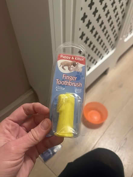 Photo of free New, unopened Puppy/cat toothbrush (Acton/Askew Road) #1