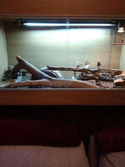 Photo of free 4ft Vivarium with heating and lighting (Sheepridge HD2) #1