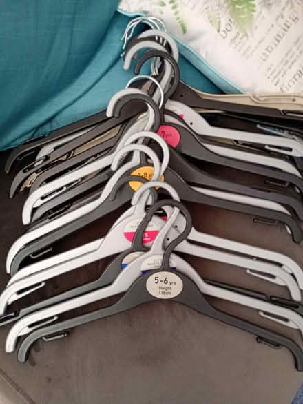 Photo of free Children's clothes hangers (Didcot OX11) #1
