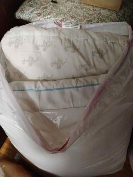 Photo of free 4 Pillows (NE Rochester, NY) #2