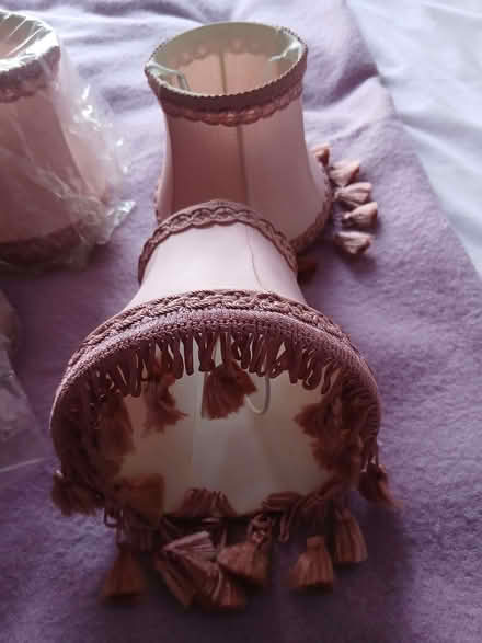 Photo of free Four Ceiling Light Shades (Wrose BD18) #1