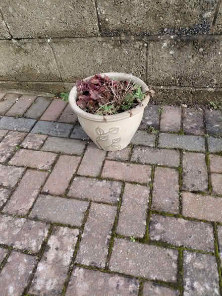 Photo of free Garden pot (Stroud GL5) #1