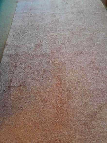 Photo of free Pale Pink Carpet Southsea (Southsea PO5 1HW) #3