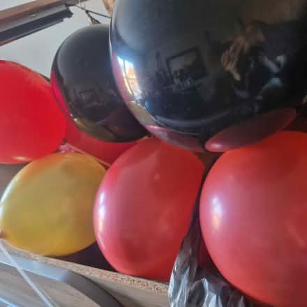 Photo of free Inflated balloons (Hednesford, WS12) #1