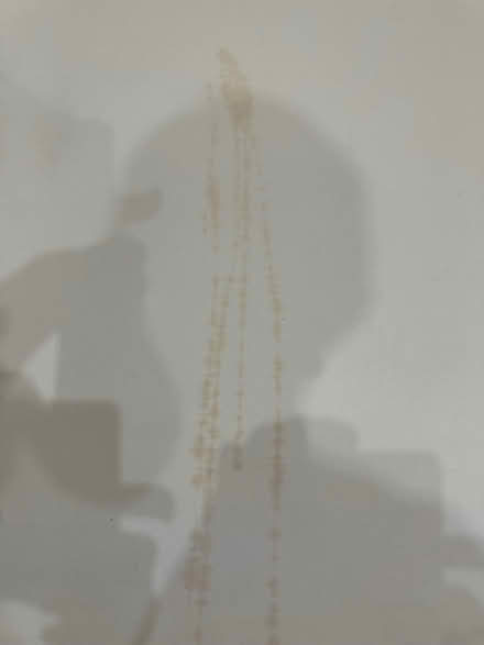 Photo of free Roller blind (Briestfield WF12) #1