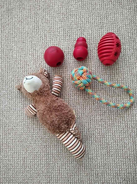 Photo of free Dog toys (Pensby CH61) #1