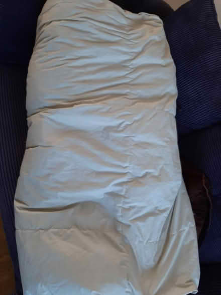 Photo of free King size feather duvet (Milton Ernest) #1