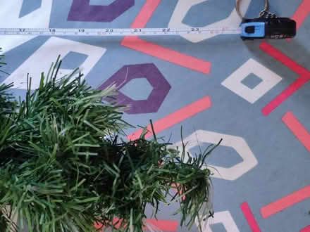 Photo of free Small light up Christmas tree (M34 Haughton Green) #3