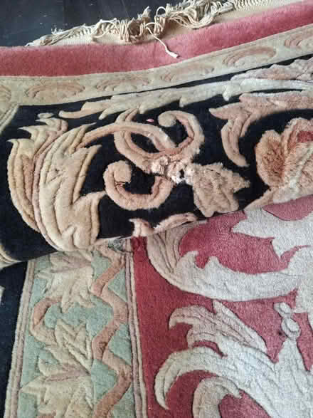 Photo of free Large wool rug (South Green CM11) #2