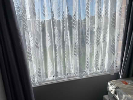 Photo of free Net curtains (Seaford BN25) #1