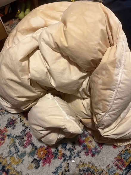 Photo of free King size old feather duvet (Lexden CO3) #1