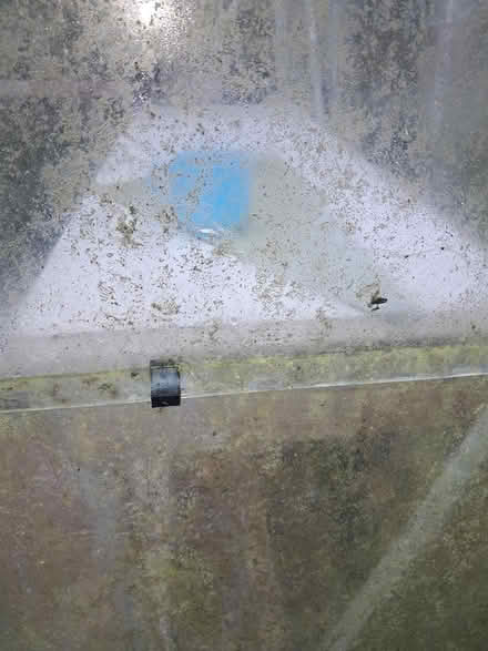 Photo of free Greenhouse (CT1) #4