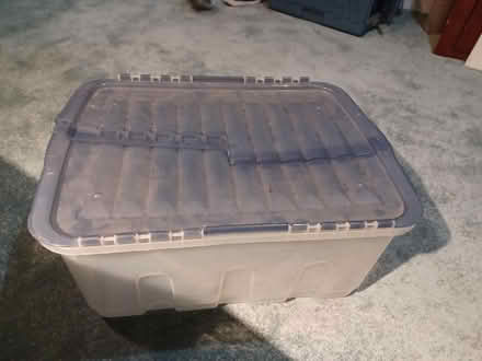 Photo of free 43l storage container (Colchester CO4 6) #1