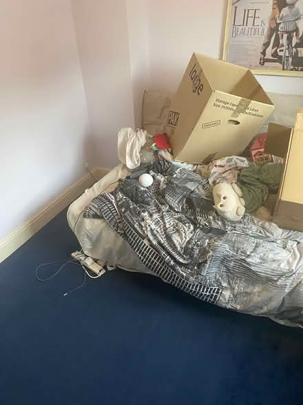 Photo of free Dark blue carpet (Tiptree, Essex CO5) #2