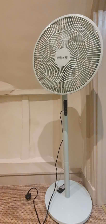 Photo of free Electric standing fan (Laundress Green CB2) #1