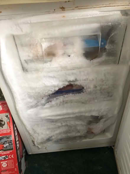 Photo of Large water tight plastic tray or lid (freezer defrosting) (Wood Farm OX3) #1