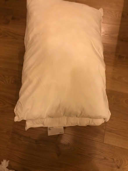 Photo of free Two single pillows (King's Hedges Ward CB4) #1