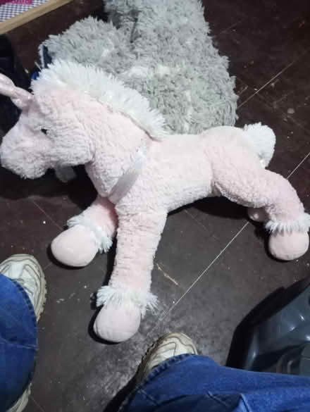 Photo of free Unicorn teddy (big? (NG5 9NY) #1