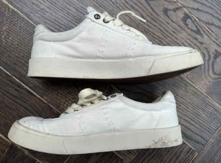 Photo of free Alex Eagle / Superga trainers (SE24) #3