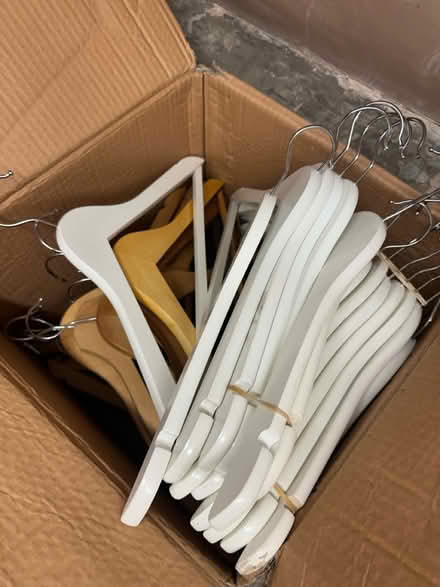 Photo of free Box of coat hangers (E17JF) #1