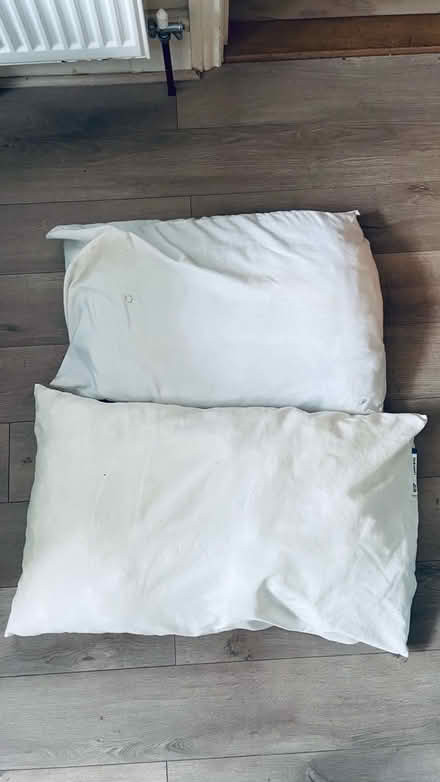 Photo of free 2 pillows - pers/stuffing (Southsea PO4) #1