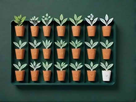 Photo of Seed trays (Rodwell DT4) #1