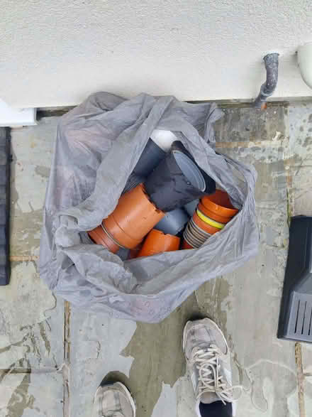 Photo of free Bag of small plastic plant pots (Fairfield Park) #1