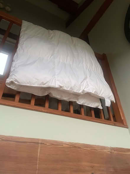 Photo of free Feather double 10.5 tog Duvet (Dutton PR3) #1