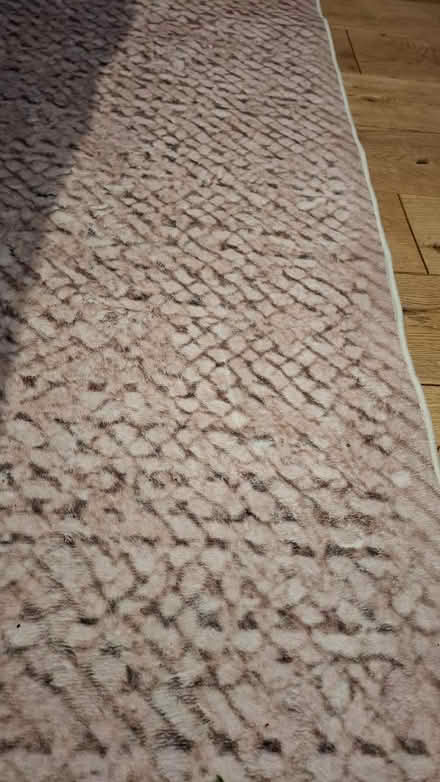 Photo of free 2x3m washable rug (SE6) #1