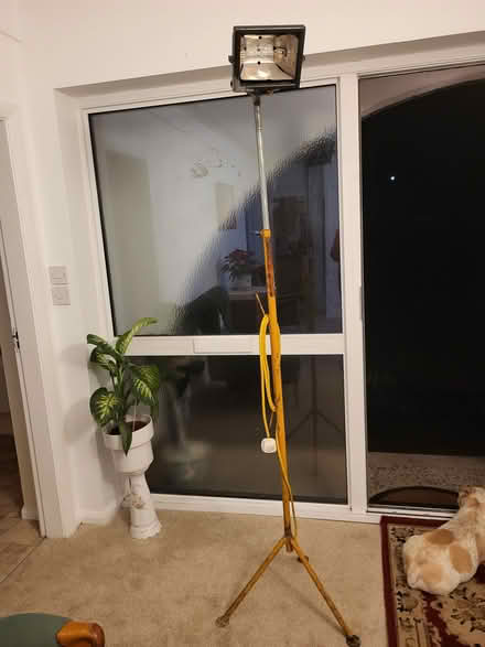 Photo of free New carpet (Ch43 9tg) #1