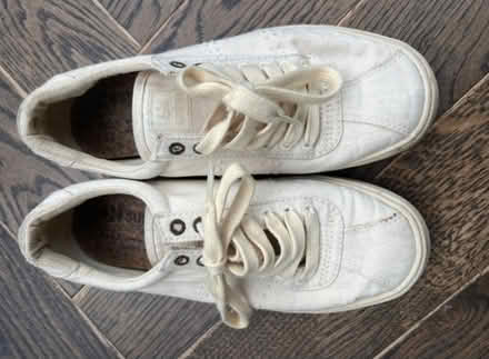 Photo of free Alex Eagle / Superga trainers (SE24) #4