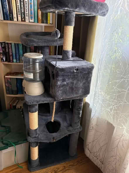 Photo of free Cat Tree & Feeder (Belleville neighborhood) #1