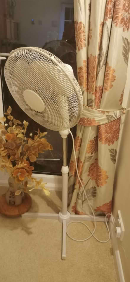 Photo of free Pedal fan (Slough SL3) #1