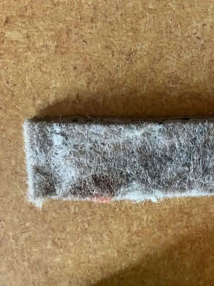 Photo of free small carpet underlay scraps (Huron and Wellington) #3