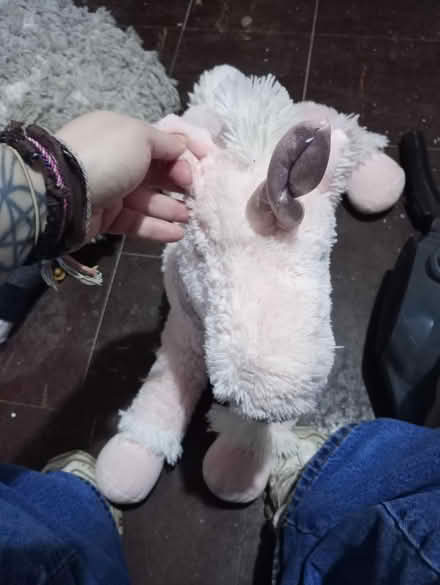 Photo of free Unicorn teddy (big? (NG5 9NY) #2