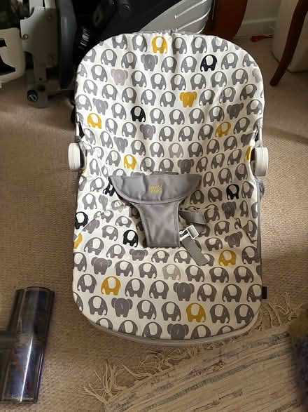 Photo of free Baby bouncer (Freshford, Bath) #1