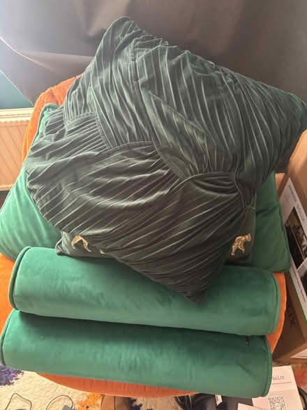Photo of free 6 x Green Throw Cushions (SL6 Maidenhead) #1