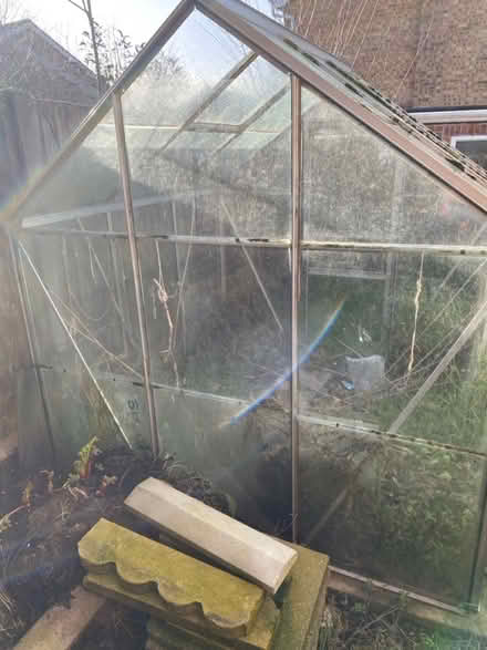 Photo of free Greenhouse (Worksop S81) #3