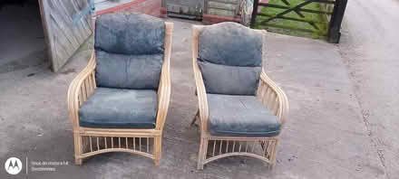 Photo of free Conservatory chairs to go (Queenhill WR8) #1