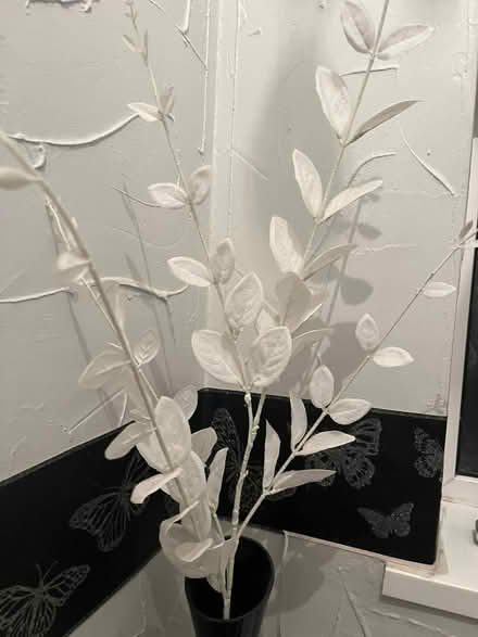 Photo of free Vase and Flowers (Ashton in Makerfield WN4) #2